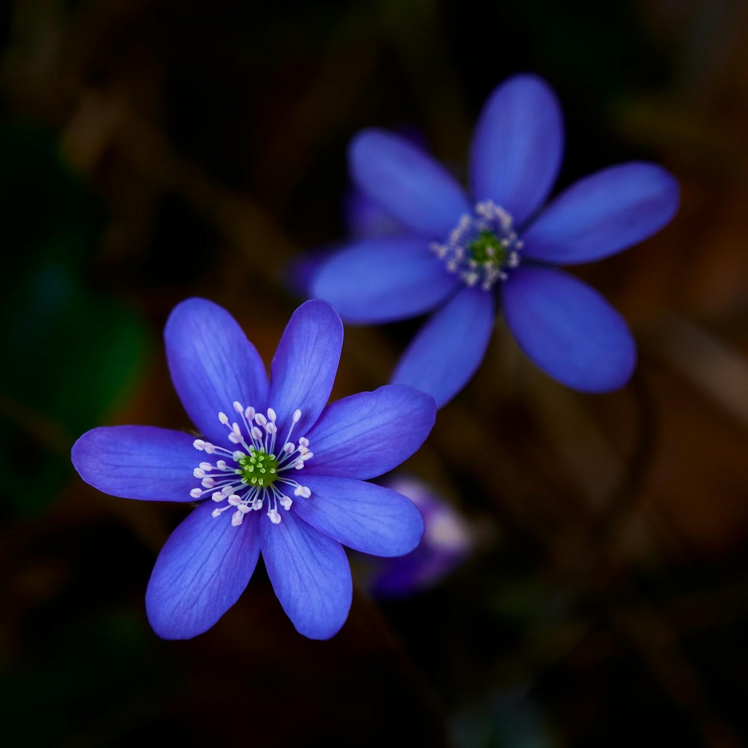 Meditation practice space with cushions arranged in circle
